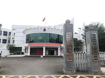被查封的镇政府办公楼背后：持续20余年企业讨债路丨调查