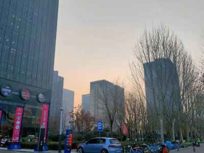 “十年来第一次看到土地拍卖这么冷”：房企眼中的2021郑州土地巿场丨热点